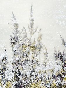 Oeuvre d'art de la nature avec des textures