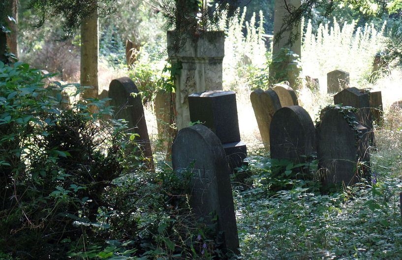 Zentralfriedhof 4  van Ilona Picha-Höberth