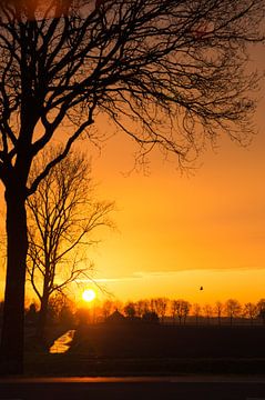 Ochtendgloren van Be-eR fotografeert