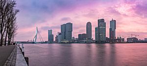 Zonsopkomst aan de Veerhaven Rotterdam