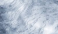 Des traces dans la neige fraîche par Menno Boermans Aperçu