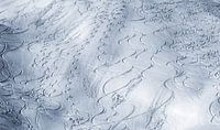 First tracks