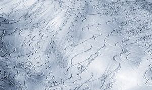 Des traces dans la neige fraîche sur Menno Boermans