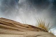 Dunkle Wolken über den Dünen von Gonnie van de Schans Miniaturansicht