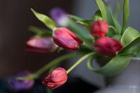 Als de lente komt,…