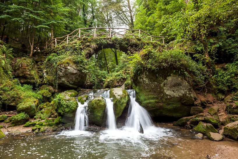 Klein Zwitserland in Mullerthal by Marcel Derweduwen