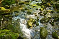 Water stream surrounded by mossy rocks in the French Jura mountains