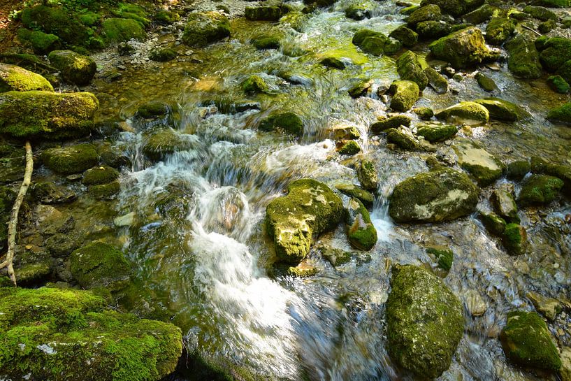 Von moosbewachsenen Felsen umgebener Wasserlauf im französischen Jura von Studio LE-gals