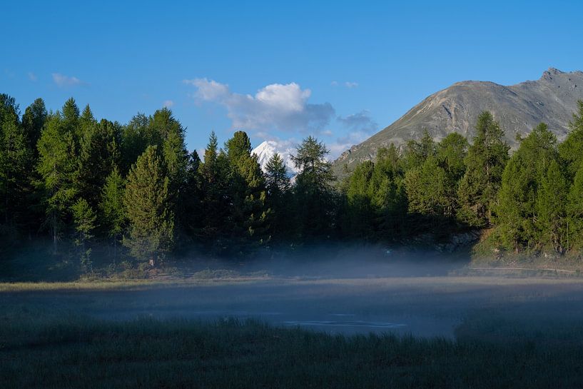 Morning mist by Captured by Herman
