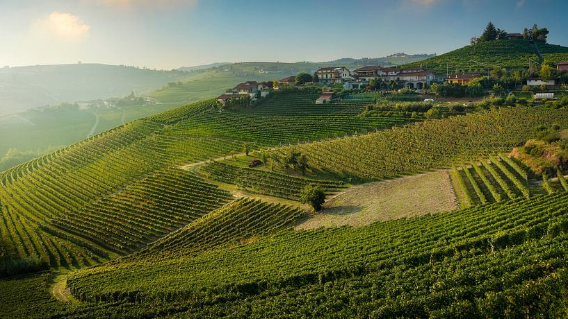 Langhe, wijngaarden bij zonsopgang nabij Neive, Piemonte, Italië van Stefano Orazzini