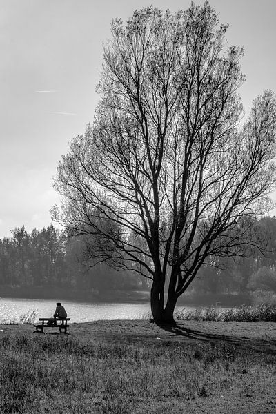 Thinking about... by Cecilio Rodriguez