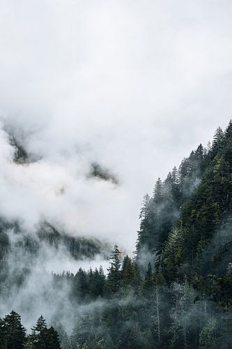 Bergen North Cascades national park
