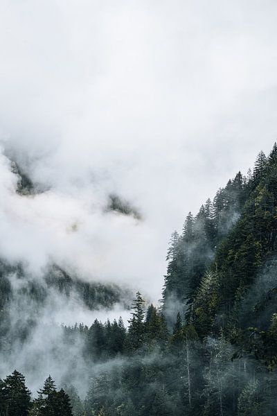 Montagnes Parc national des Cascades du Nord par Get Framed Photography