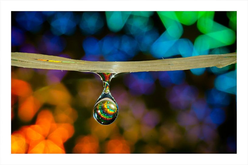 whatwerdrop by Fotografie Marco Houben