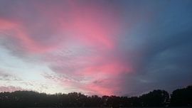 Roze/Blauwe zonsondergang