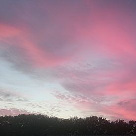 Roze/Blauwe zonsondergang by Rosalie Swarte