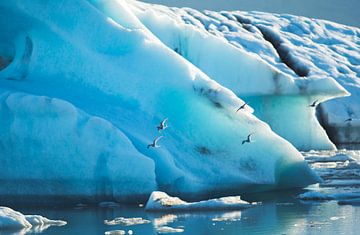 Jokulsarlon van iris hensen