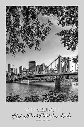 In Focus: PITTSBURGH Allegheny River & Rachel Carson Bridge