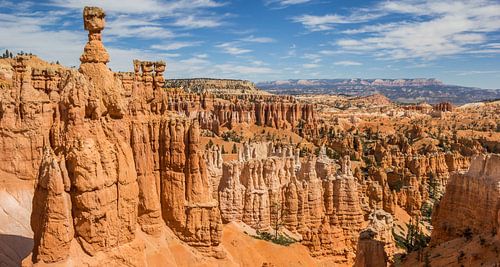 Hoodoos in het Amphitheater in Bryce Canyon National Park, Utah, USA