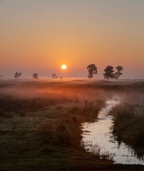 de zon komt op boven een moerassig stuk land met bomen vlakbij de beulakerwijde in de kop van overijssel