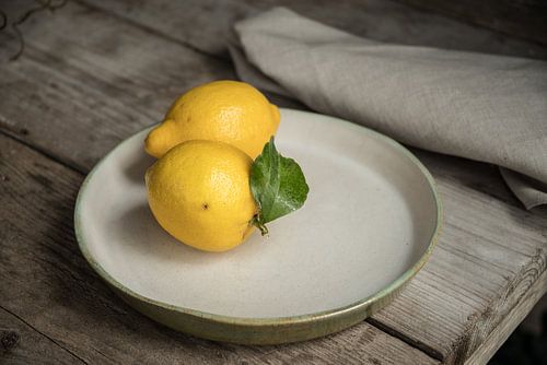 Still life