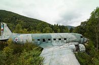 Épave d'un avion militaire abandonné Dakota Croatia par Ger Beekes Aperçu