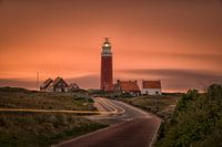 Texel