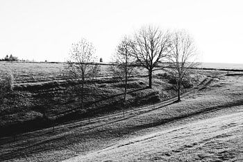 A landscape of fields rich in contrast