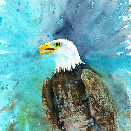 Portrait d'un aigle à tête blanche carré Aquarelle
