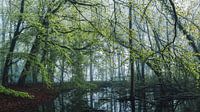 Obskurer Graben in Molecaten Hattem