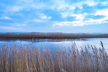 Un samedi matin froid à Heerenveen
