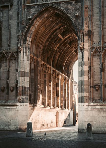 Hemels - Warme avondzon onder de Dom in Utrecht van Tim Loos