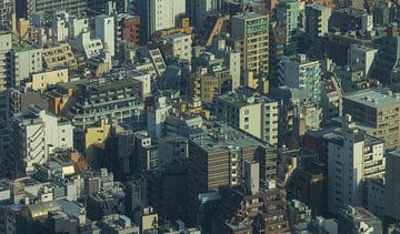 Tokyo cityscape (Japan) by Marcel Kerdijk