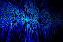 Psychedelisches Leben unter Wasser von Studio Zwartlicht