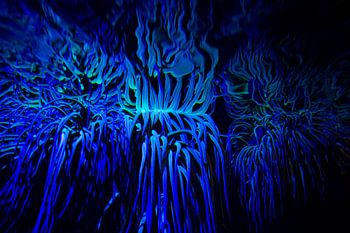 Psychedelisches Leben unter Wasser