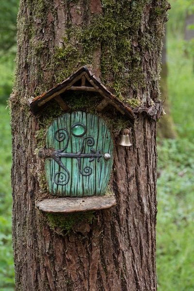 miniatuur huisje met groene deur gemaakt in een boom in een bos van ChrisWillemsen