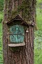 miniatuur huisje met groene deur gemaakt in een boom in een bos van ChrisWillemsen thumbnail