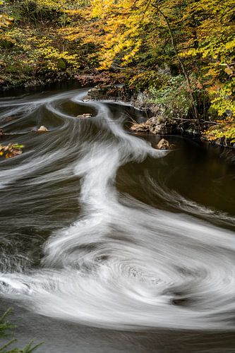 Danska Fallet: De Betovering van Herfst in de Bossen I