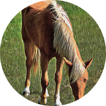 Palomino paard graast in de zon van Dorothy Berry-Lound