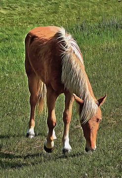 Palomino paard graast in de zon van Dorothy Berry-Lound