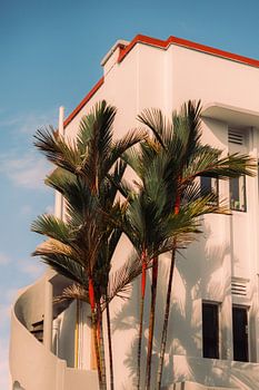 Art Deco in den Tropen: Palmen und Architektur im Morgenlicht
