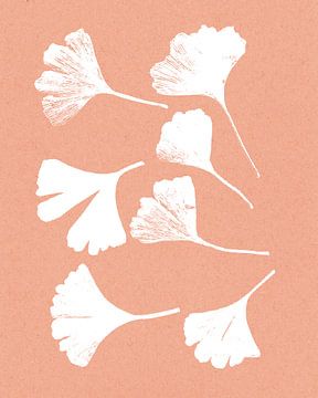 Ginkgo leaves on coral pink. Modern botanical minimalist art. by Dina Dankers
