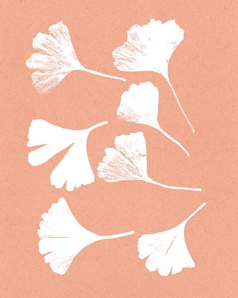 Ginkgo leaves on coral pink. Modern botanical minimalist art. by Dina Dankers