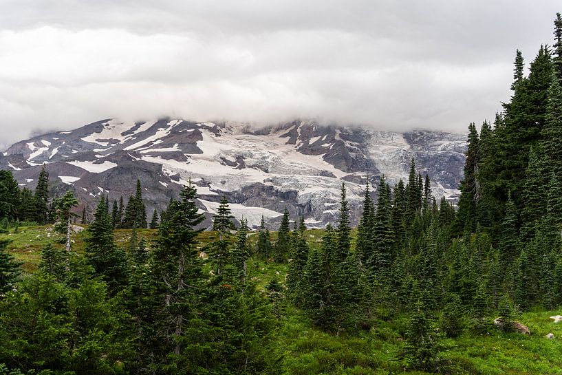 Mount Rainier National Park, Washington, USA by Jeroen van Deel