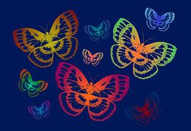 Colorful butterflies on blue by Sebastian Grafmann