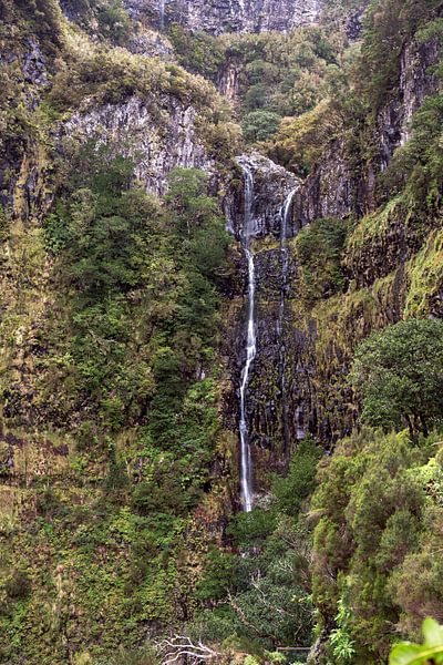 fontes risco madeira by ChrisWillemsen