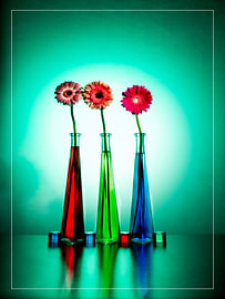 Drei Gerbera-'s in drei dreieckigen Fläschchen. von Gerhard de Wit