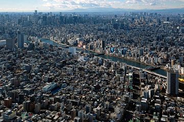 De skyline van Tokio met talloze wolkenkrabbers van Lensw0rld