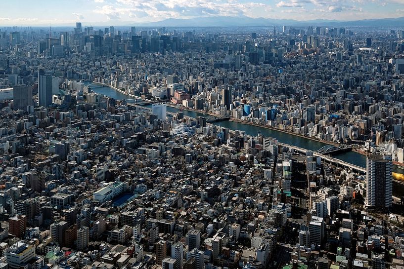 Die Skyline von Tokyo mit zahlreichen Hochhäusern von Lensw0rld