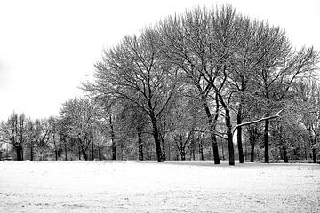 Winterlandschap von Bob Bleeker